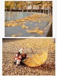 留住秋天的一百種方式