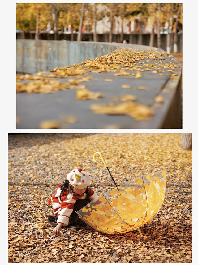 留住秋天的一百種方式