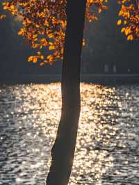 合肥週末全攻略｜廬州煙火+文藝秘境，2天1夜解鎖江淮韻味