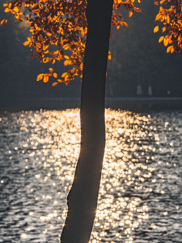 合肥週末全攻略｜廬州煙火+文藝秘境，2天1夜解鎖江淮韻味