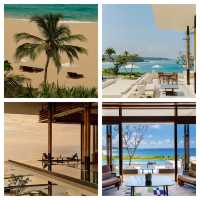 在安缦尋覓冬日暖陽