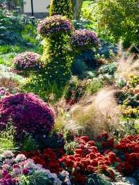 超全攻略!冬日共青森林公園賞秋絕了