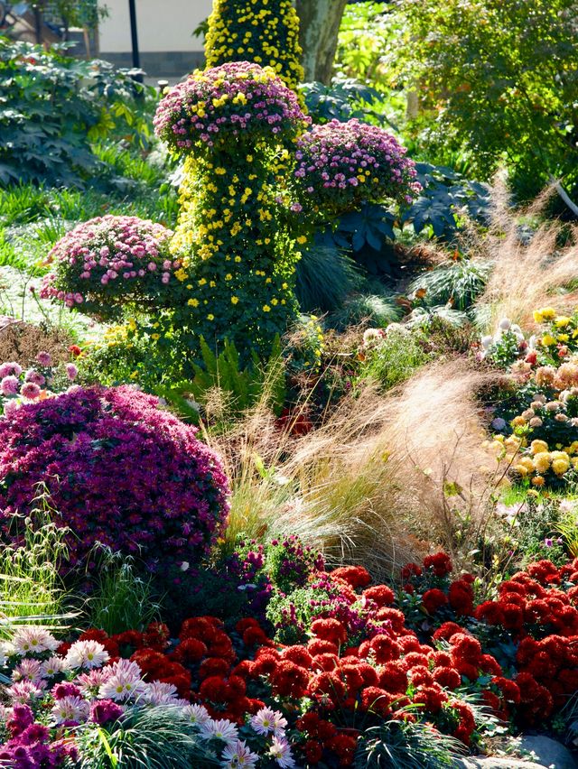 超全攻略!冬日共青森林公園賞秋絕了 超全攻略!冬日共青森林公園賞秋絕了