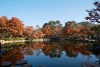 一場秋風,將天平山染成了汴州