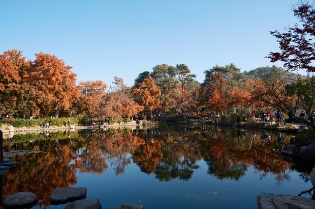 一場秋風,將天平山染成了汴州 一場秋風,將天平山染成了汴州
