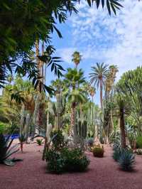 免簽摩洛哥等多國連遊攻略來啦