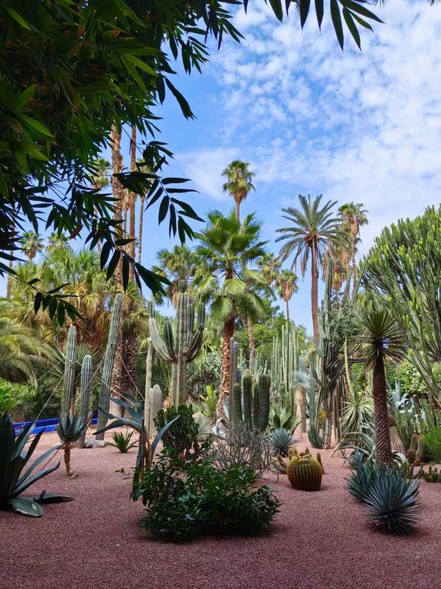 免簽摩洛哥等多國連遊攻略來啦 免簽摩洛哥等多國連遊攻略來啦