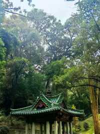 禪意之地的四季