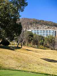 宜興神仙酒店！懸崖房+寵物友好！住到不想走