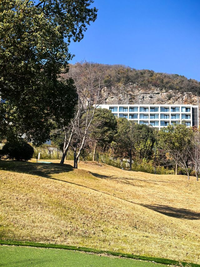 宜興神仙酒店！懸崖房+寵物友好！住到不想走