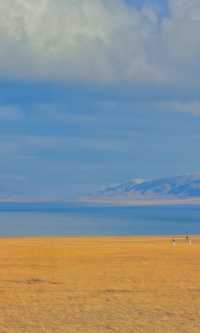 賽里木湖秋日環湖終極攻略 | 闖入一場盛大的金色夢境