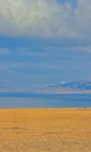 Sailimu Lake Autumn Ultimate Lakeside Guide | Step into a Grand Golden Dream