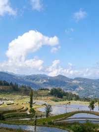 初冬壩達梯田遊玩攻略｜萬畝鎏金梯田間，解鎖少人知曉的暖調秘境