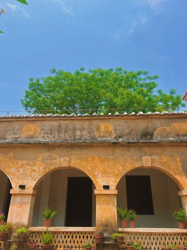 5天深度遊崇左-百色-北海 玩到不想走 5天深度遊崇左-百色-北海 玩到不想走