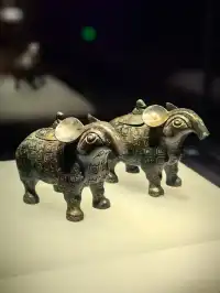 你以為你遇到的是一隻“ i 鳳”??