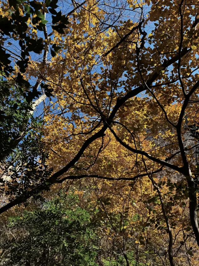 誰再說江浙滬沒「野」景我跟誰急! 誰再說江浙滬沒「野」景我跟誰急!