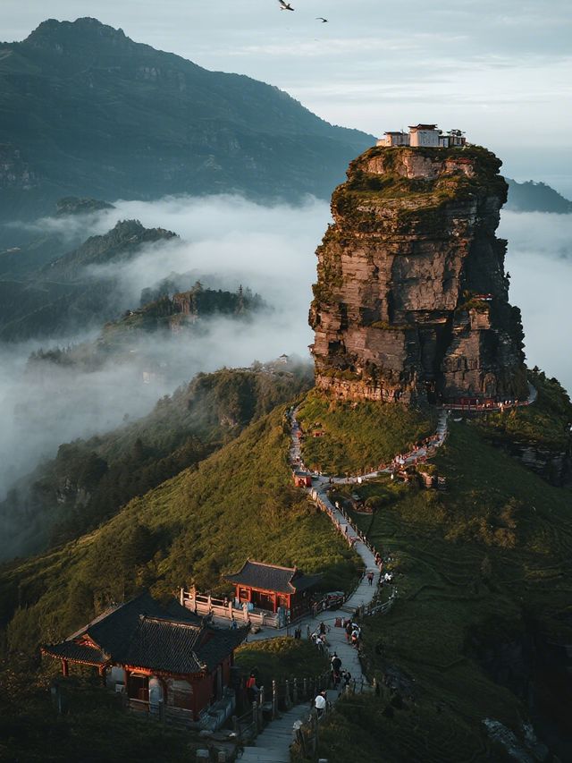 梵淨山親子保姆級攻略！帶娃登頂天空之城，避坑99%