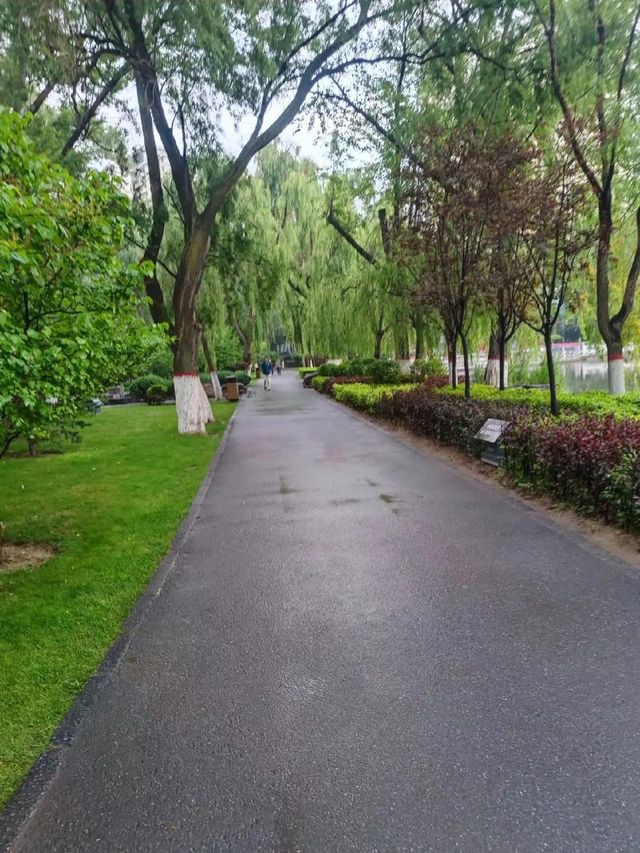 藏在城芯湟水畔，人文與自然的共生秘境