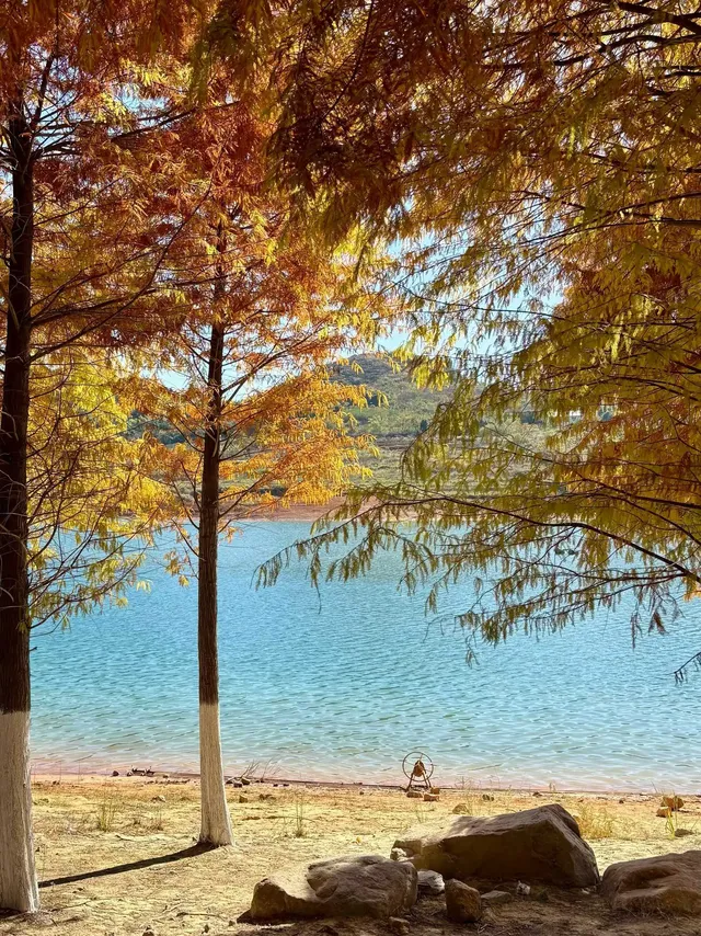 郴州遊#偶遇龍洋魏大勳撒貝寧宣傳