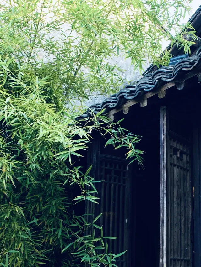 烏鎮什麼時候免門票? 烏鎮什麼時候免門票?