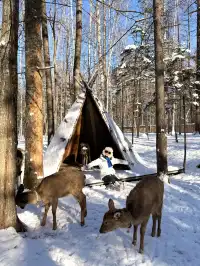 我宣佈長白山才是冬天親子遊的天花板