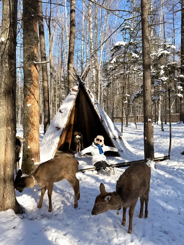 我宣佈長白山才是冬天親子遊的天花板