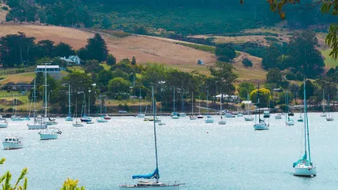 Tasmania Multi-Day Tour Collection | Upgraded Boutique Hotels — traveler post in Sorell