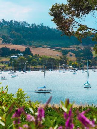 塔斯馬尼亞多日遊合集|升級特色酒店