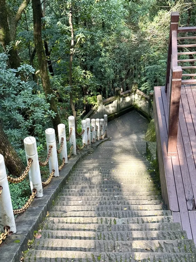 重慶主城!最喜歡的citywalk路線好治癒… 重慶主城!最喜歡的citywalk路線好治癒…