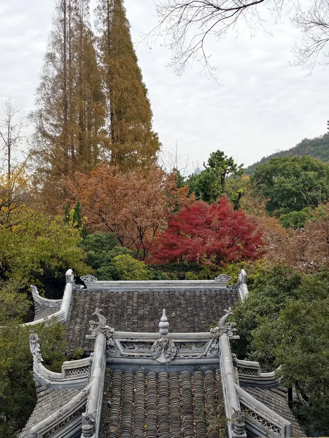 打翻調色盤,最後一次這個視角做寄暢園封面 打翻調色盤,最後一次這個視角做寄暢園封面