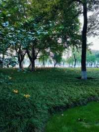 杭州柳浪聞鶯:從隱秘小徑到絕美落日,這片秘境藏著多少驚喜?