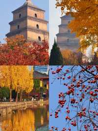 是誰還沒有去過大雁塔高鐵直達