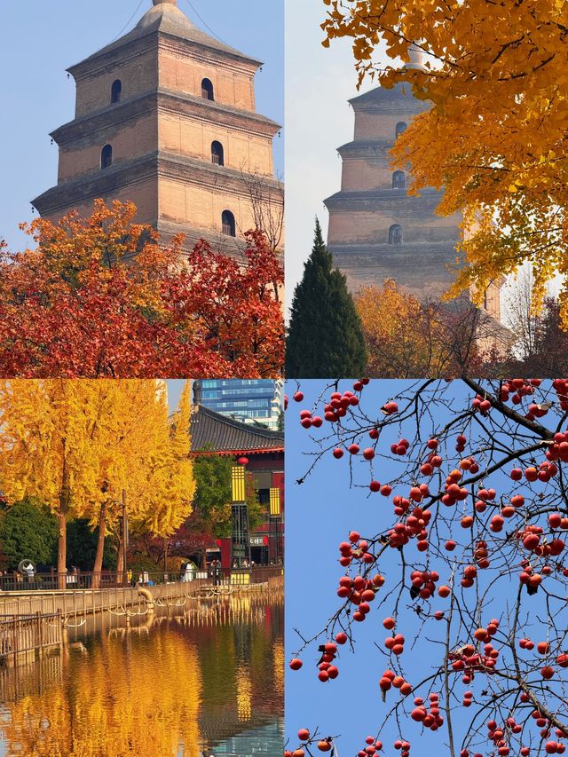 是誰還沒有去過大雁塔高鐵直達 是誰還沒有去過大雁塔高鐵直達