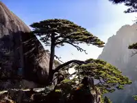 初冬的黃山,依然可以封神!