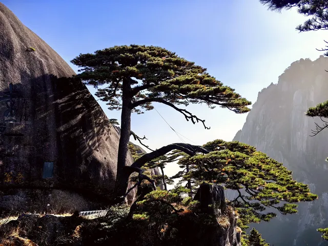 初冬的黃山,依然可以封神! 初冬的黃山,依然可以封神!
