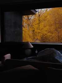 安吉|看山泡湯暖壁爐,初冬睡個好覺