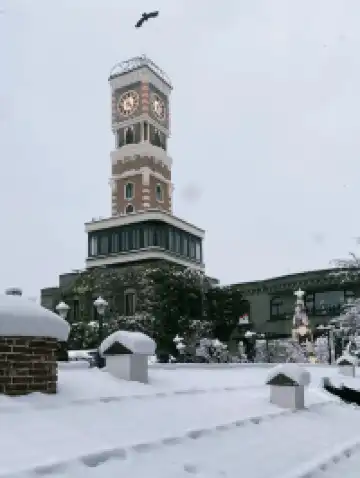 冬日札幌必打卡！白色戀人公園點燈全攻略