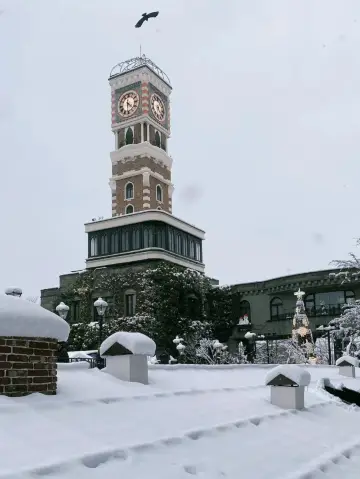 A Winter Must-Visit in Sapporo! Complete Guide to the Shiroi Koibito Park Illumination