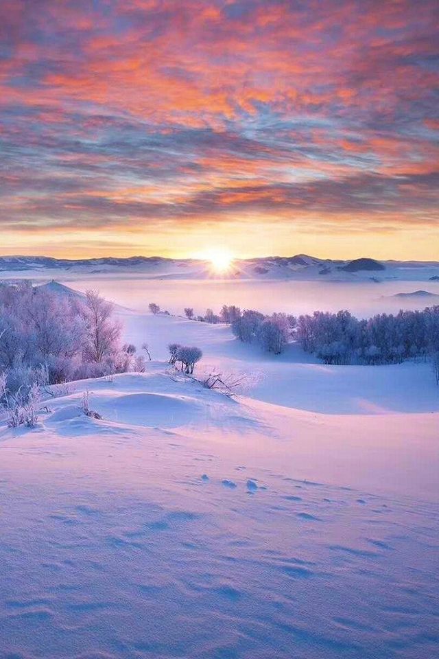 皇家禮遇與雪原牧歌的奇遇記 皇家禮遇與雪原牧歌的奇遇記