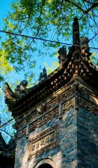 銀杏與古建邂逅