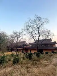 南京浦口隆興寺 | 人少幽靜的古寺