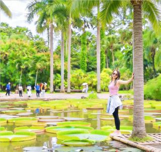 เผยโฉมอัญมณีที่ซ่อนอยู่ของซีซวงปันนา! สวรรค์แห่งการถ่ายภาพอย่างแท้จริง!