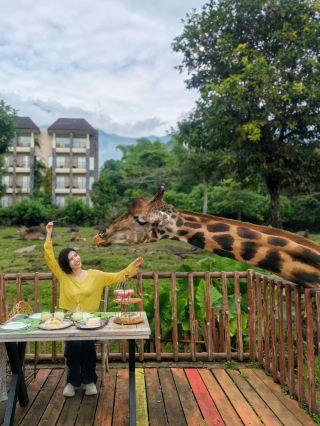 アフリカに行く必要なし！インドネシアでキリンの朝食自由を実現、子どもたちは一日中大はしゃぎ