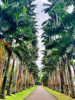 An Amazing Family Tour in Sri Lanka with a Perfect Driver