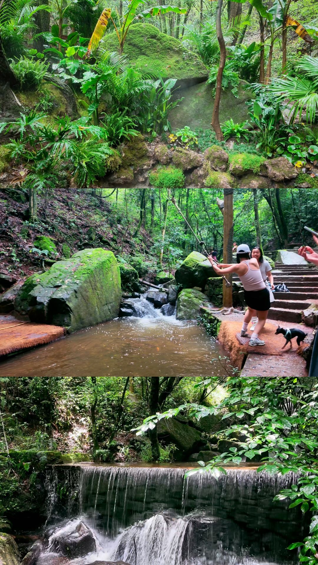 Không cần phải đến Xishuangbanna! Cuộc phiêu lưu trong rừng mưa Côn Minh, bé 2 tuổi chinh phục hẻm núi Thanh Long.