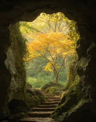 국경절 연휴 인파를 피해 한적한 곳으로 떠나는 여행: 양쯔강 삼각주 지역의 숨겨진 차 재배지