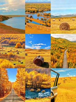 Stunning autumn road trip: Inner Mongolia in autumn is the most romantic getaway of the year