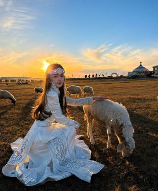 From Forest Sea to Pasture: Photo Spots in the Greater Khingan Mountains and Hulunbuir