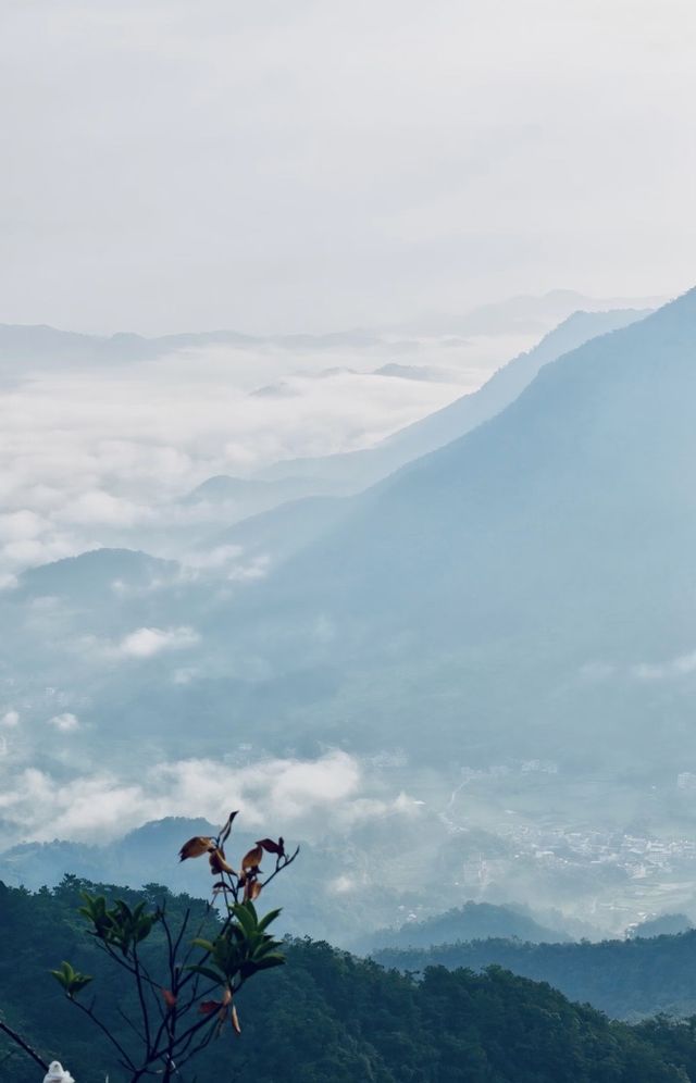 珠三角週末遊-羅定風車山