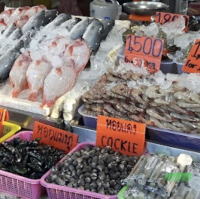 ตลาดของสดตัวเป็นๆ